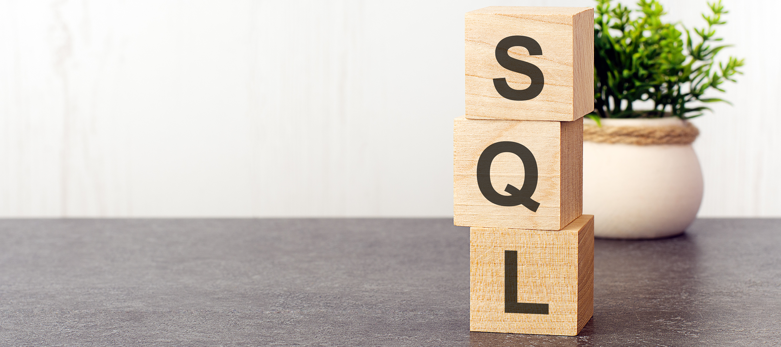 SQL or NoSQL: Which Option is Better